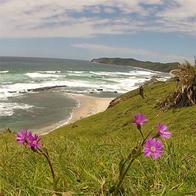 A panoramic Wild Coast landscape